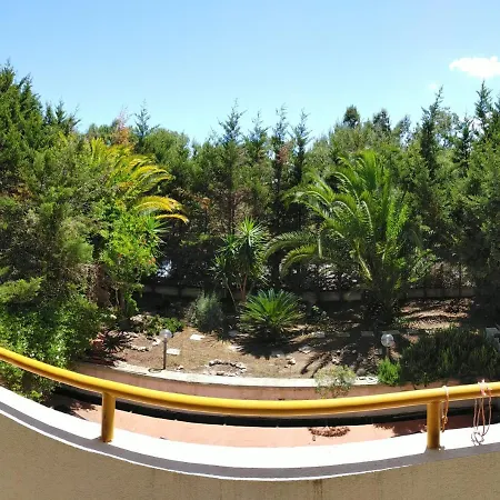 Tarantula * Лечче