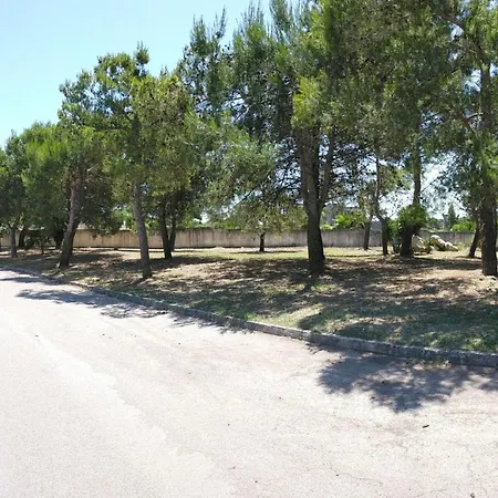 Tarantula * レッチェ