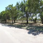 Tarantula * Lecce