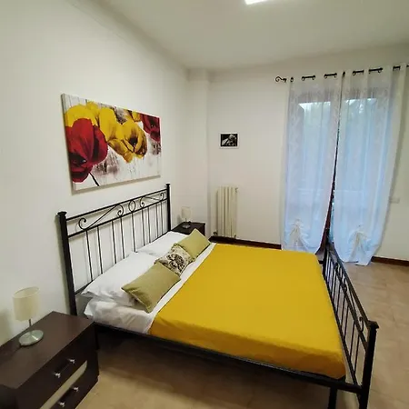 Tarantula Lecce