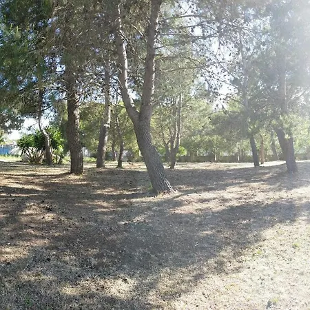 Apartamento Tarantula Lecce