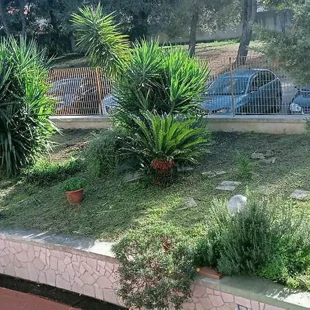 Tarantula Lägenhet Lecce
